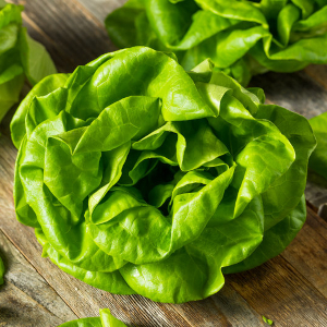 salad leaves