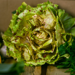 salad leaves