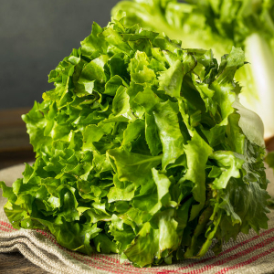 salad leaves