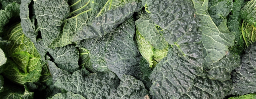 winter vegetables