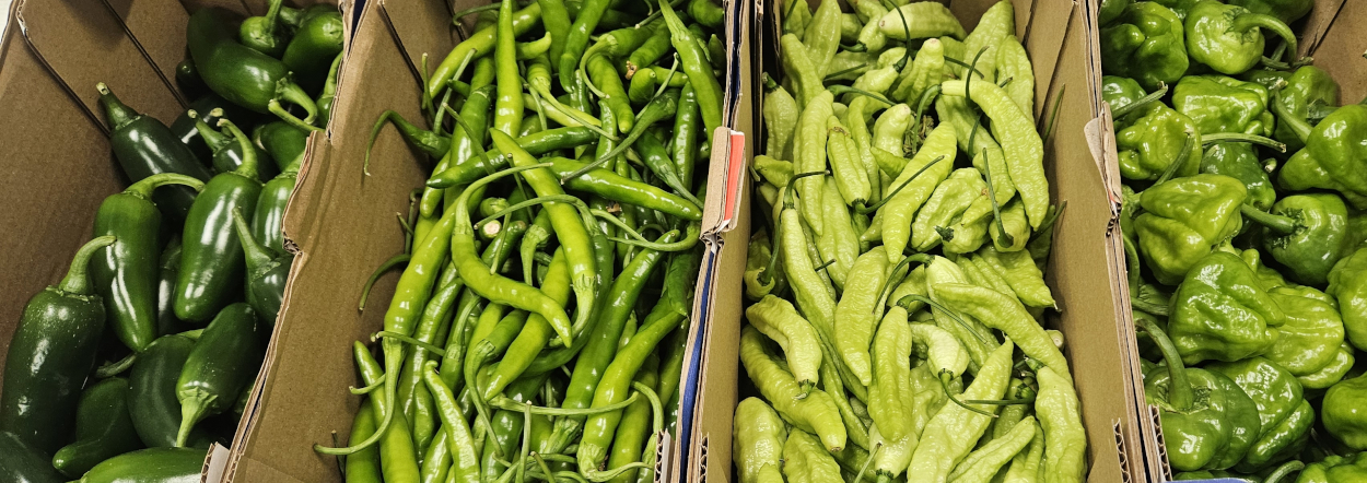 English Chillies