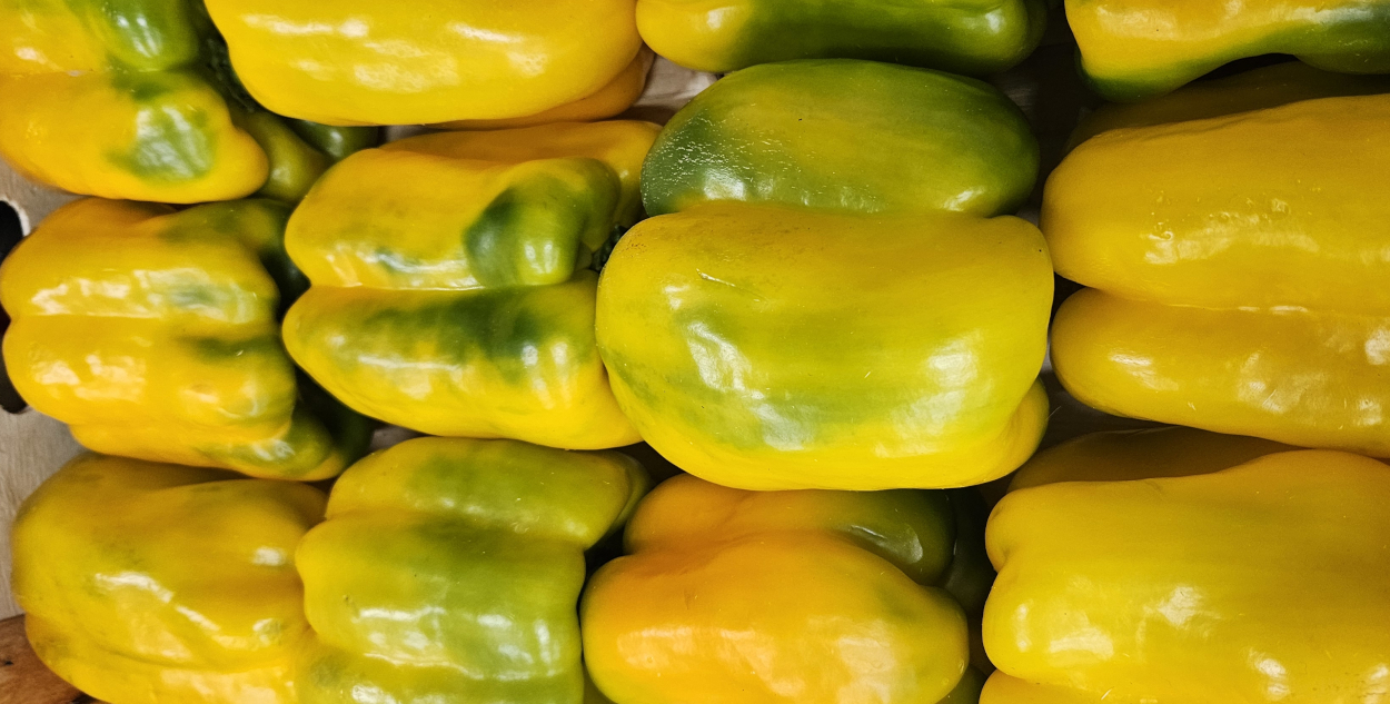 Large Italian Peppers