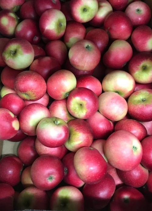 UK Grown Apples