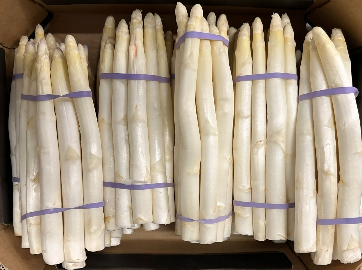 Whitea Asparagus