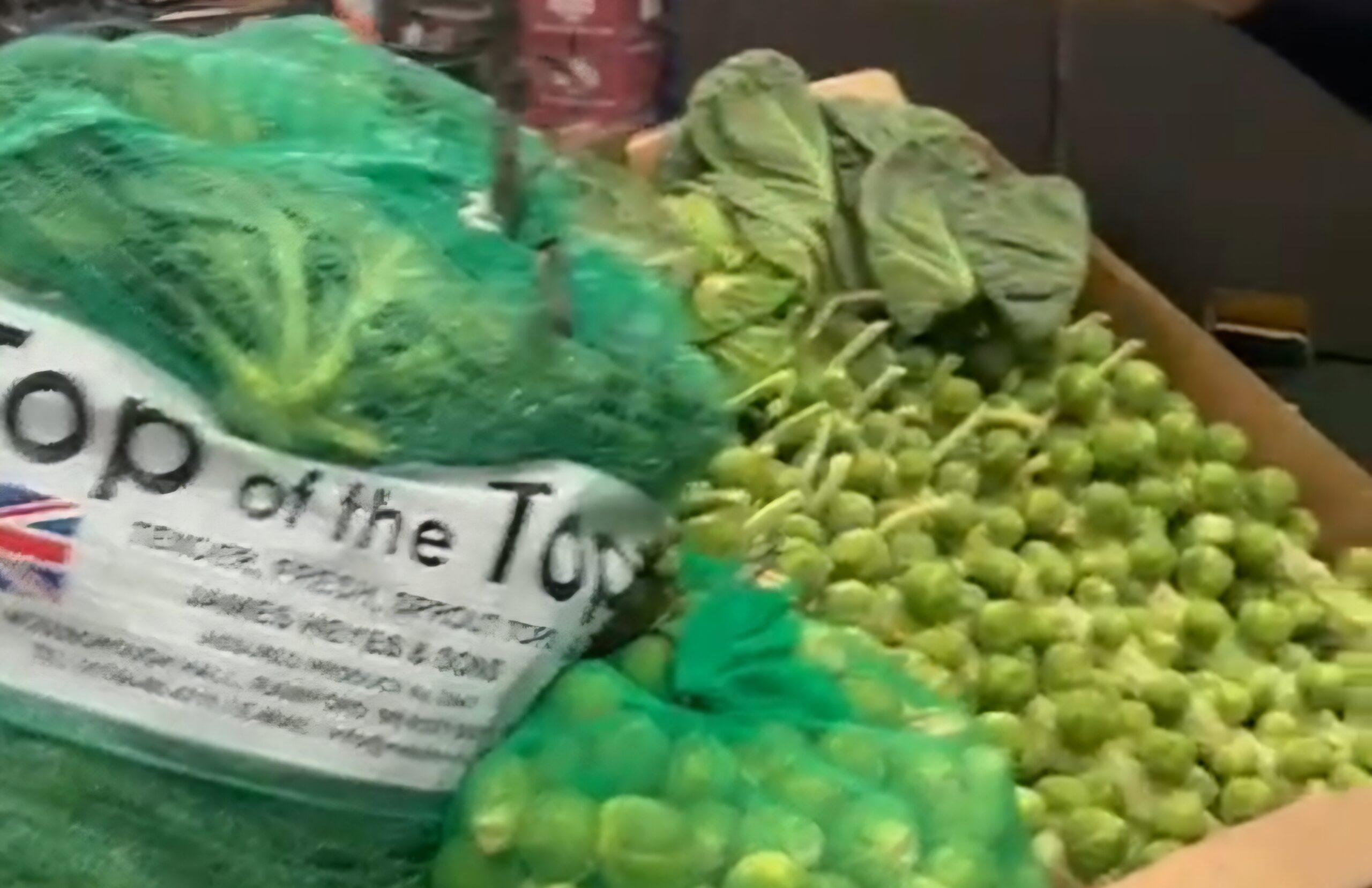 Brussels Sprouts